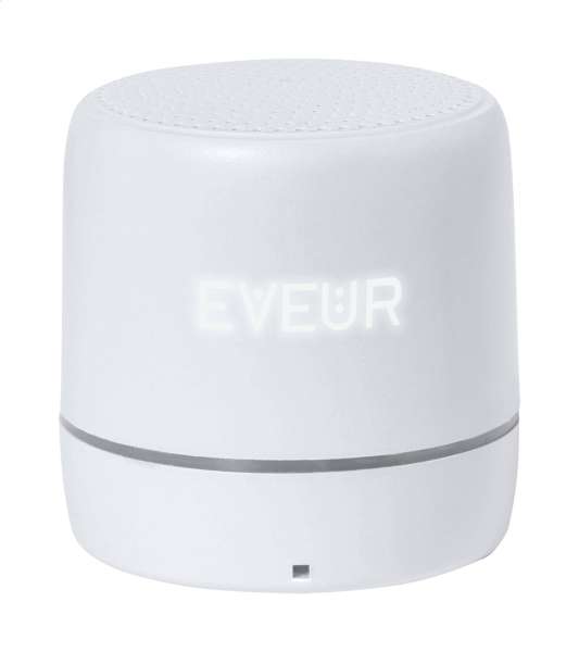 Kabelloser Lautsprecher Florrin