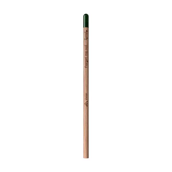 Sproutworld Set: Unsharpened Pencil & Header Card ungespitzter Bleistift