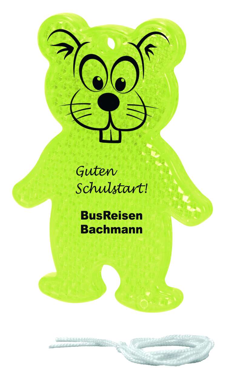 Sicherheits-Reflektor 