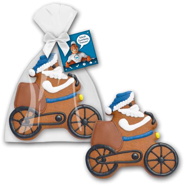 Weihnachtsmann auf Fahrrad