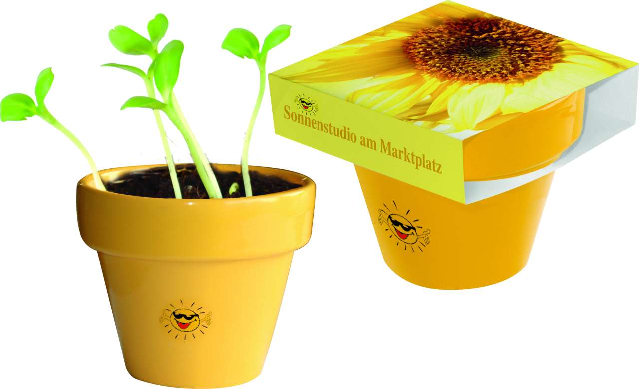 Tontopf Colour Sonne