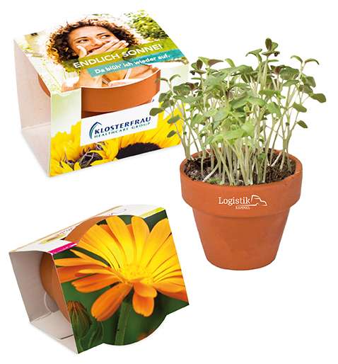 Logo-Töpfchen Überreichverpackung mit Samen