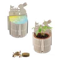 Eierbaumsamen inkl. Lasergravur