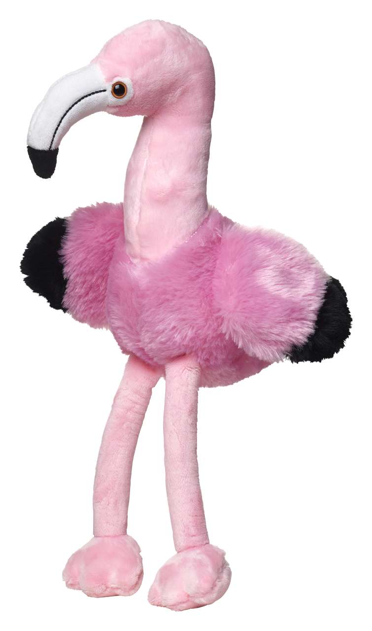 Flamingo Fernando