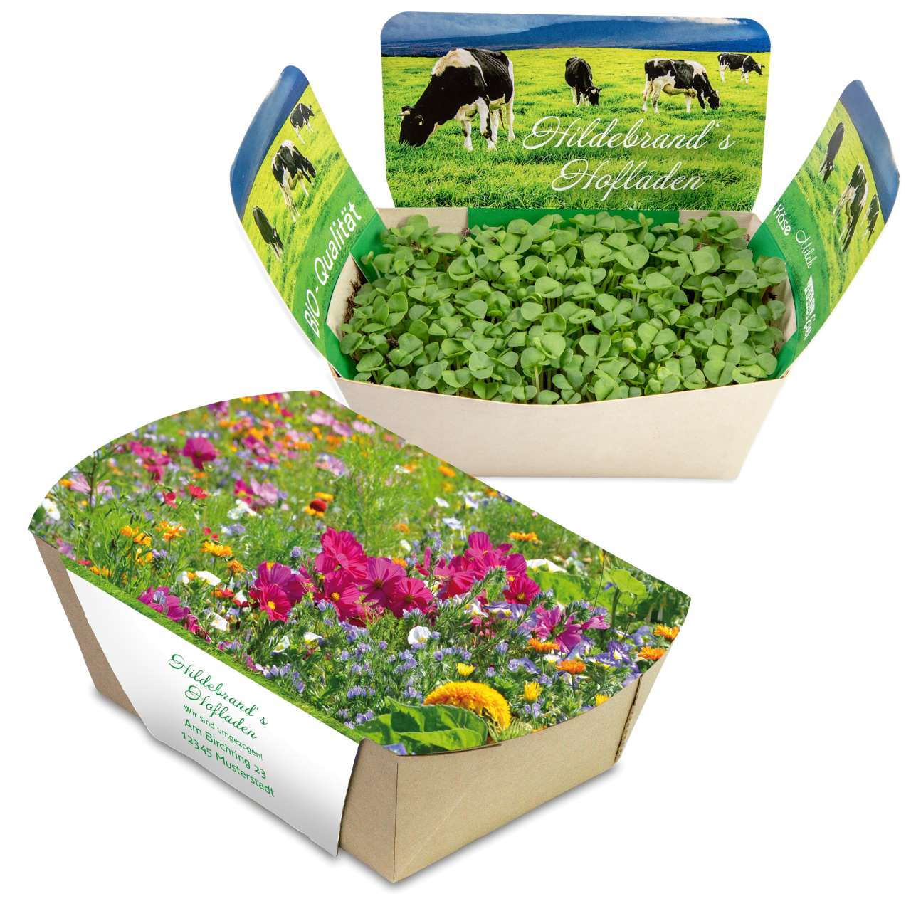 Pflanzodrom mit Samen