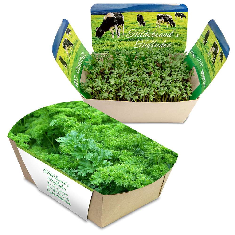 Pflanzodrom mit Samen