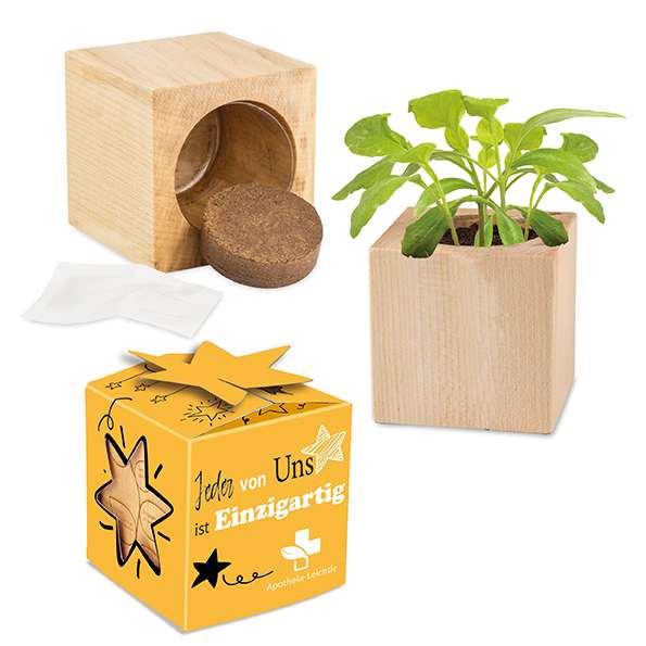 Pflanz-Holz Star-Box Ostern
