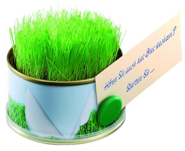 Minigarten Gras mit Magnet