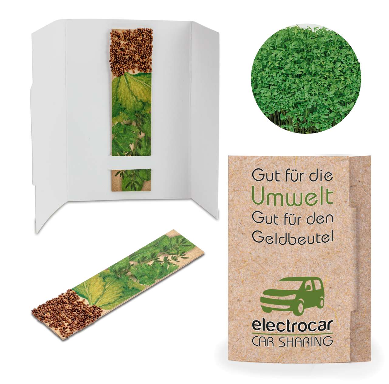 Kräuter-Stick mit Samen