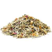 YuboFiT® Kräutertee FRESH INGWER LEMON