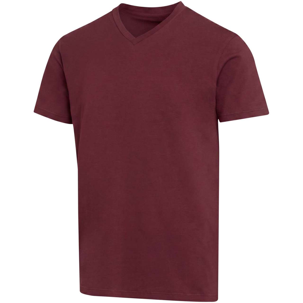 Balfour 200 g / m² Kurzärmeliges T-Shirt V-Ausschnitt Bio Baumwolle (OCS), unisex
