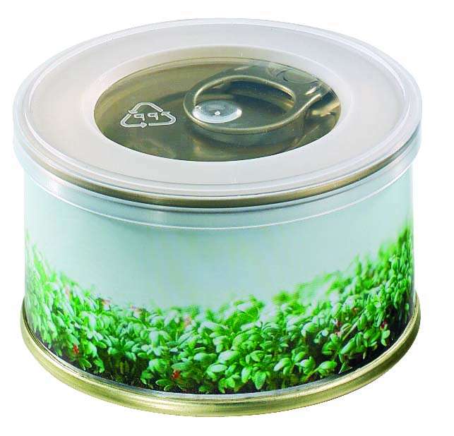 Minigarten Kräuter ohne Magnet