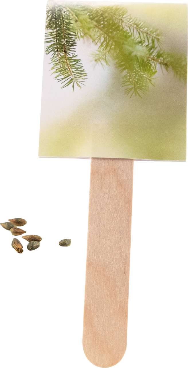 Wachsender Weihnachtsgruß