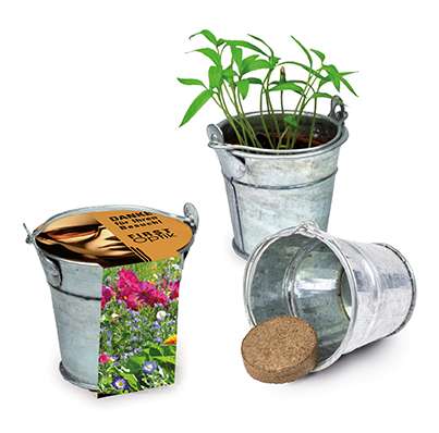 Pflanzeimerchen mit Samen