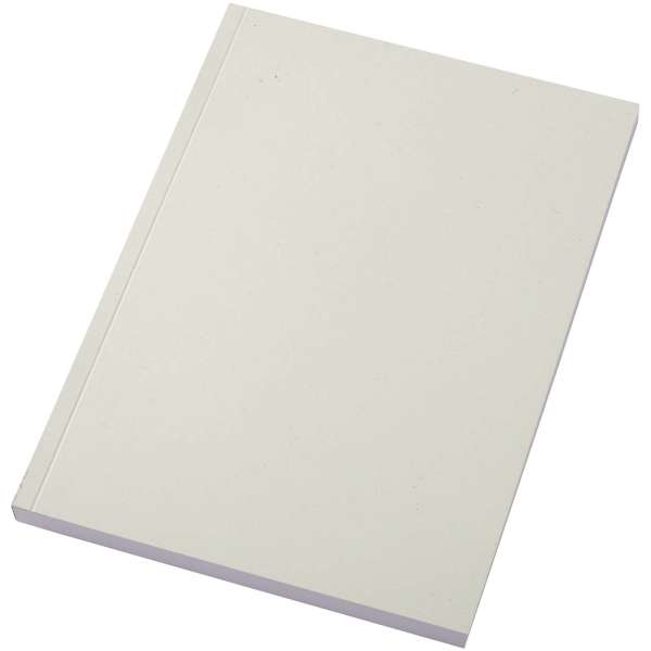 Scribe Plus A5 recyceltes Softcover Notizbuch