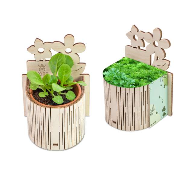 My Tiny Garden Blümchen