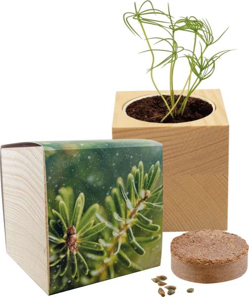 Großer Natur-Würfel Fichte