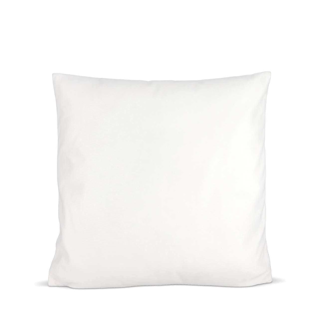 Kissenbezug aus Plüsch & Kissen 40 x 40 cm Sublimation