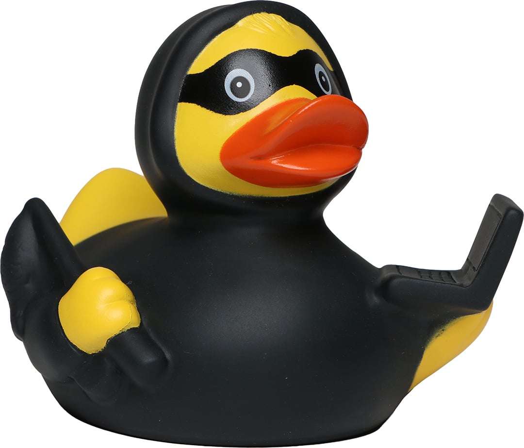 Quietsche-Ente Phishing
