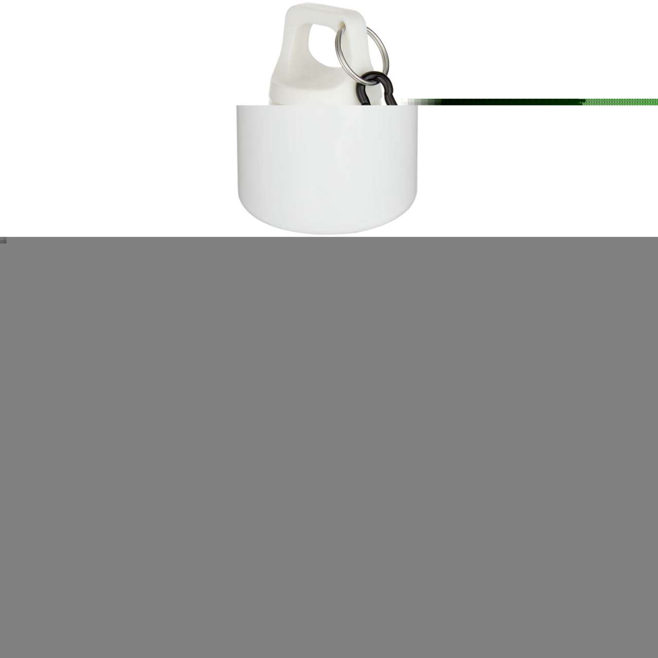 Oregon 750 ml einfarbige RS-zertifizierte Wasserflasche aus recyceltem Kunststoff mit Karabinerhaken