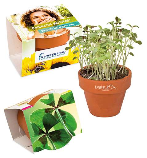 Logo-Töpfchen Überreichverpackung mit Samen