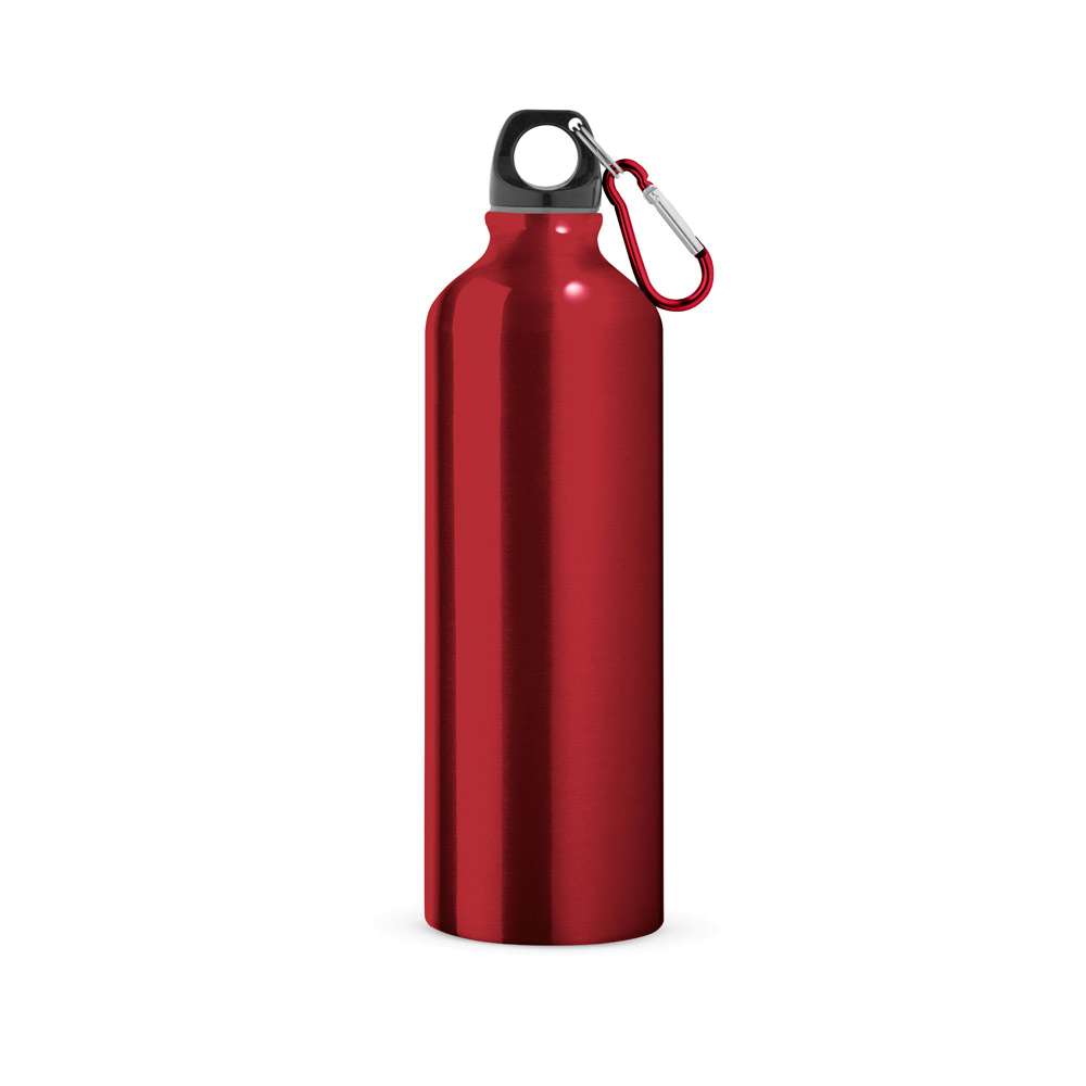 LANDSCAPE L Aluminium-Sportflasche mit Karabiner 800 ml