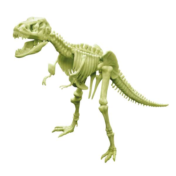 Leuchtendes T-Rex Skelett