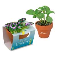 Schnittlauch inkl. Tampondruck