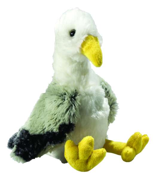 Möwe Jonathan