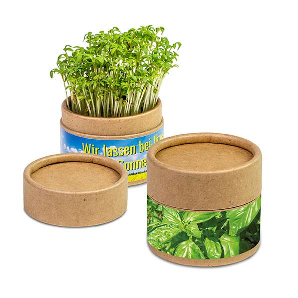 Pflanz-Cup mit Samen - Weihnachten