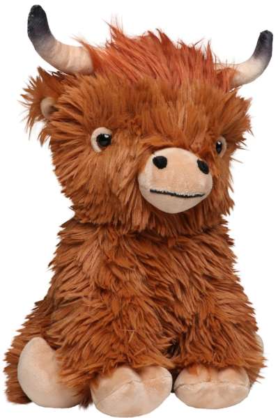 Schottisches Hochlandrind Bobby