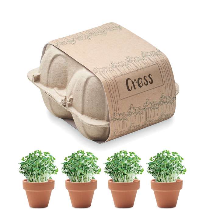 Saat-Set Kresse CRESS