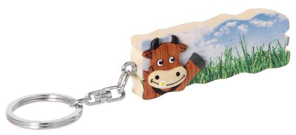 Schlüsselanhänger Sommerwiese, sortiert