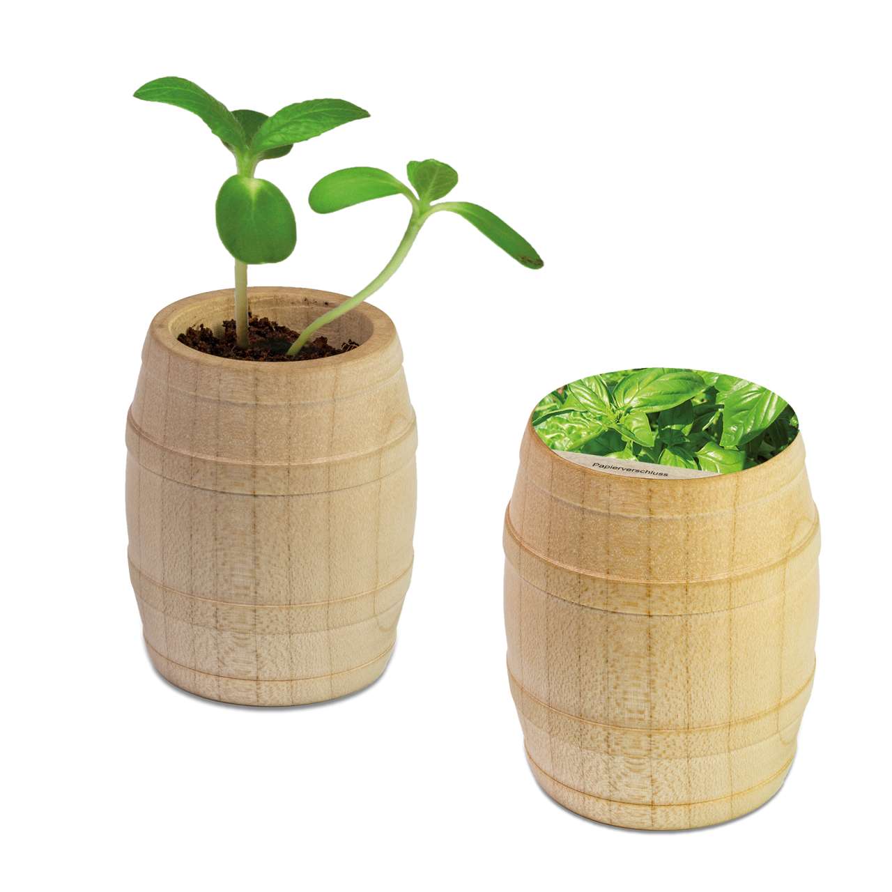 Pflanz-Fässchen mit Samen