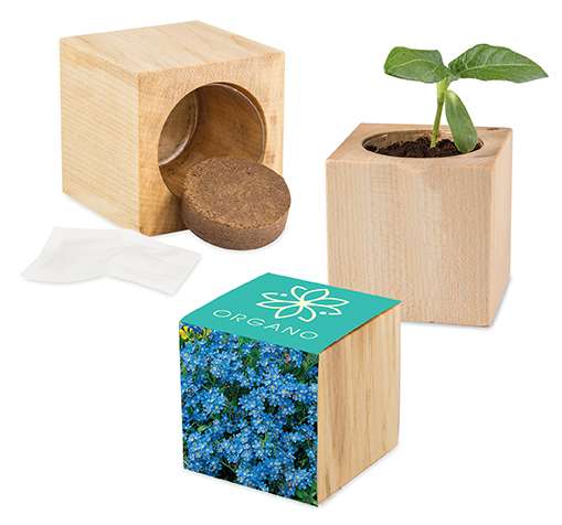 Pflanz-Holz Maxi mit Samen