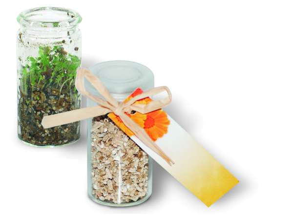 Mini-Glasshouse Ringelblume