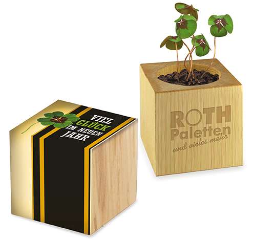 Pflanz-Holz Glücksklee