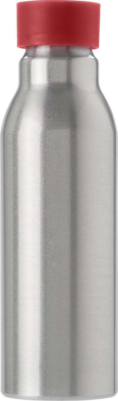 Trinkflasche aus Aluminium (600 ml) Carlton
