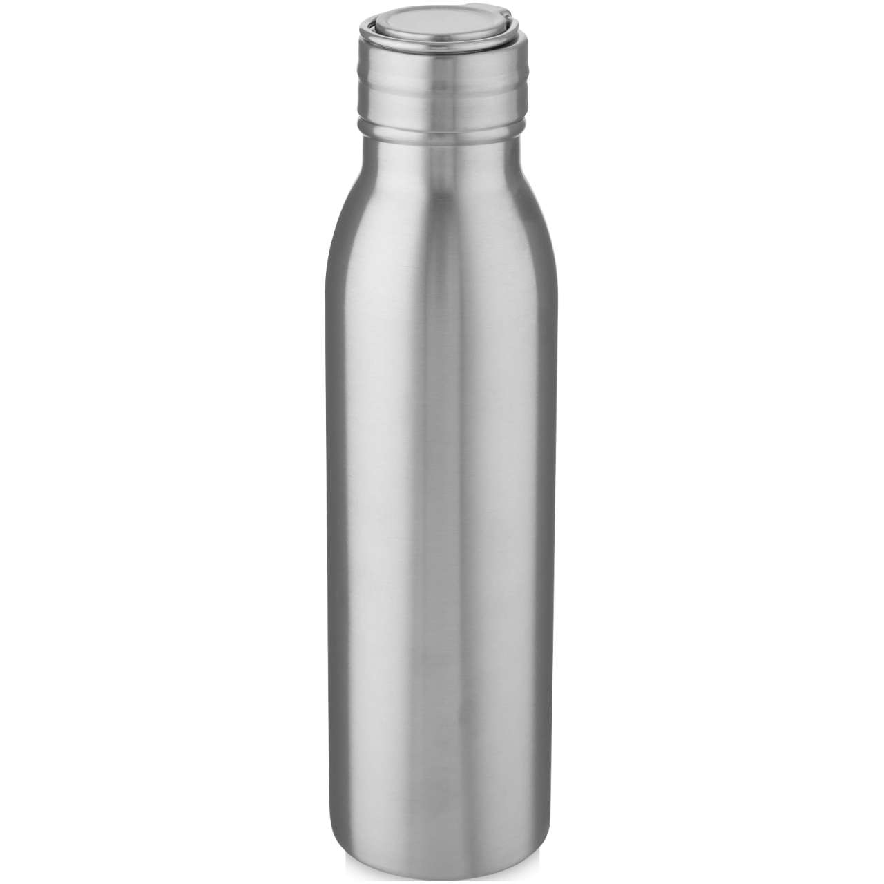 Harper 720 ml RCS-zertifizierte Sportflasche aus Edelstahl mit Metallschlaufe
