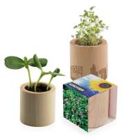 Persischer Klee, Lasergravur