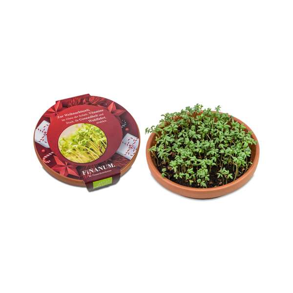 Vitamin-Schale - Weihnachten