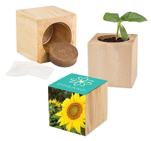 Pflanz-Holz Maxi mit Samen