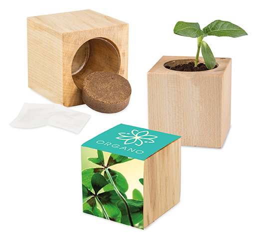 Pflanz-Holz Maxi mit Samen