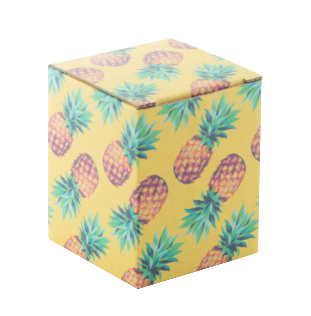 Individuelle Box CreaBox EF-216