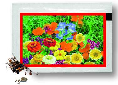 Samentütchen bunte Blumenmischung 80 x 55 mm