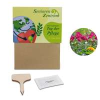 3er-Set - Sommerblumenmischung / Sonnenblume / Vergissmeinnicht