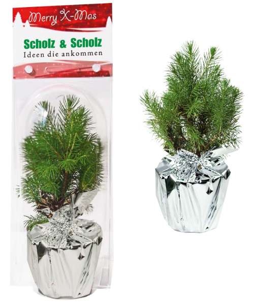 Weihnachtsbäumchen Junior