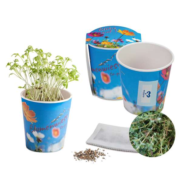 Blumenwiese To-Go - Ostern