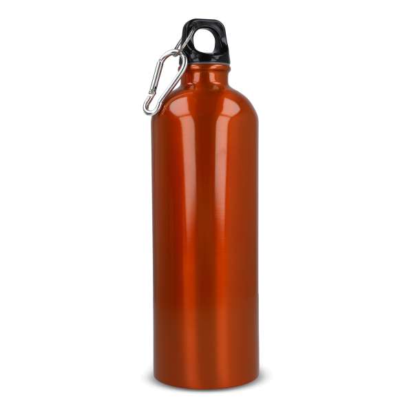R-Edelstahl einwandige Flasche mit Karabiner 750ml
