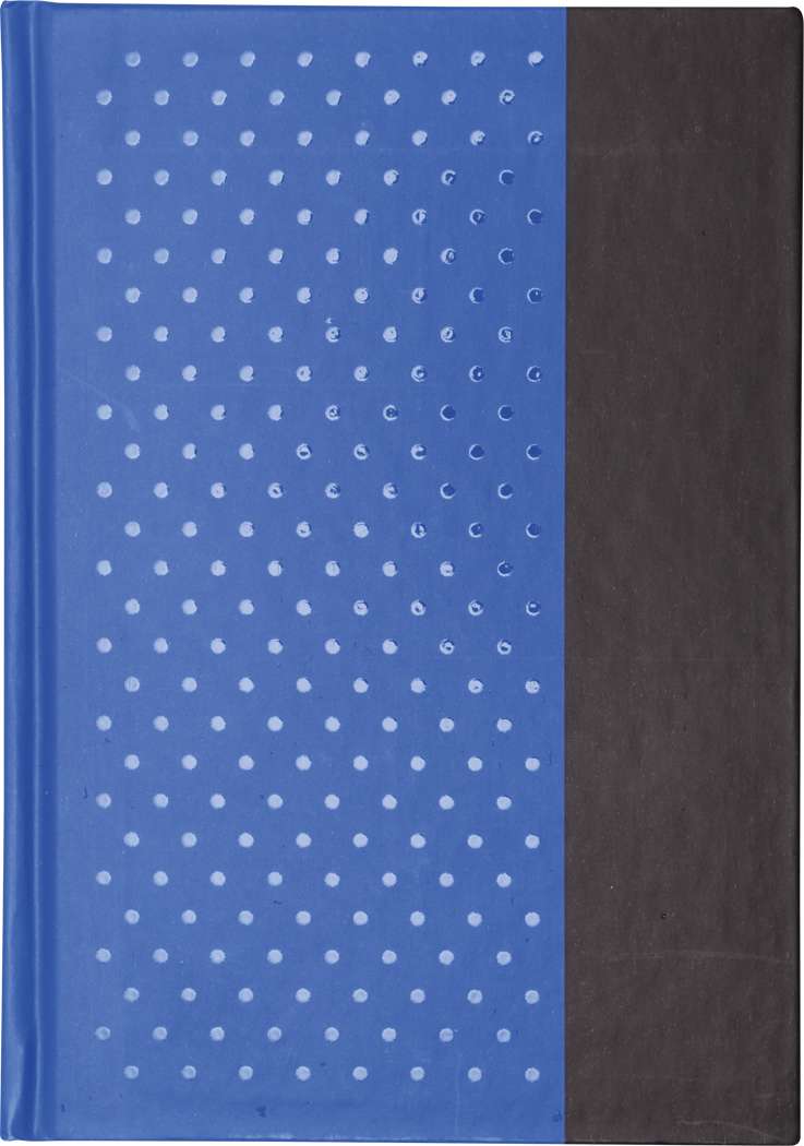Notizbuch SIGNUM im DIN-A6-Format